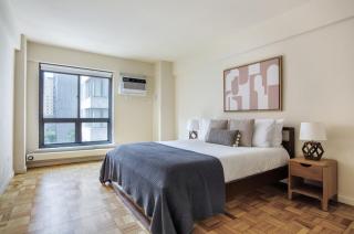 Midtown E 2BR w WD nr Central Park NYC-531 - New York - 3