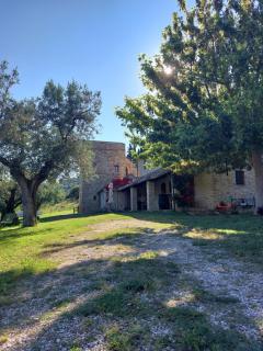 Pietra Antica Agriturismo - Ripatransone - 4