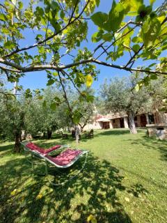 Pietra Antica Agriturismo - Ripatransone - 6