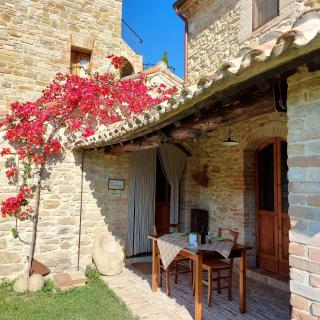 Pietra Antica Agriturismo - Ripatransone - 7