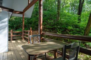 S-villa Karuizawa - Princeland - - Tsumagoi - 8