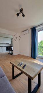 Central apartment with city view - Brasov - 3
