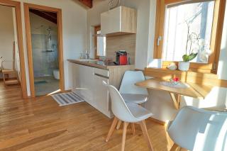 Suites DANICA - Šmartno - 1
