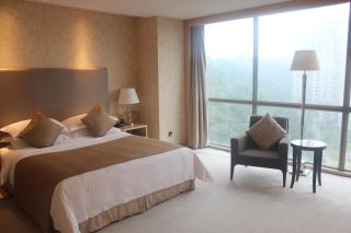 Wudang International Hotel - Shiyan - 4