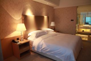 Wudang International Hotel - Shiyan - 3