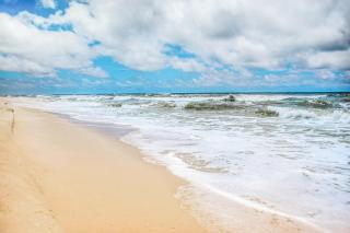 Spinnaker 1D - Perdido Key - 8