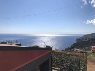 Palheirinho da Achada - Arco da Calheta - 5