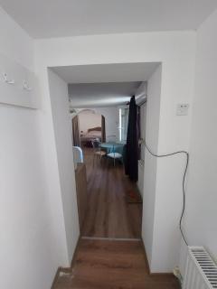 VIKI apartman - Vršac - 3