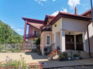 VILA ANA - Băile Herculane - 8