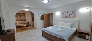 Apartmani Talija 3 i 4 Sokobanja - 2