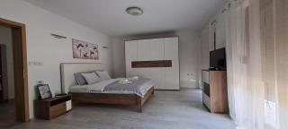 Apartmani Talija 3 i 4 Sokobanja - 1