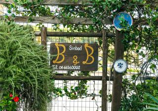 B&B Sinbad La Scialuppa - Fregene - 9