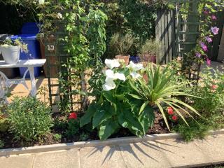 Laurel Cottage - Ballymoney - 3
