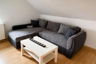 Nice Apartment in Zwickau - 4