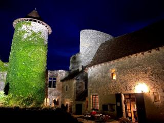 Chateau d'Ingrandes - Ingrandes - 2