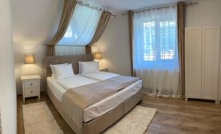 Silvan Villa - Apart - Sighişoara - 3