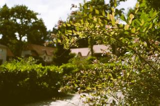 Hostellerie Du Lys - Lamorlaye - 6