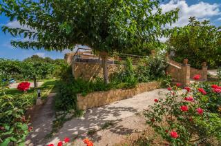 Ideal Property Mallorca - Sementaret - Artà - 5