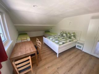 Auszeit Salzkammergut Appartements - 0