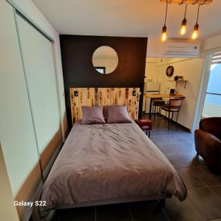 Studio Leu Loft - Saint-Leu - 0