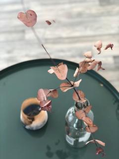 Sweet Home Tholey - 6