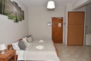 Zagas Hotel Ξενοδοχειο Ζάγκας - Rovies - 1