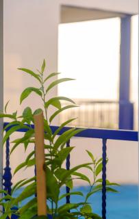 The Rina Hostel - Agadir - 7