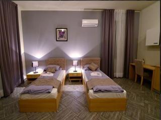 Apartmani/apartments Alexandria - Bački Petrovac - 4