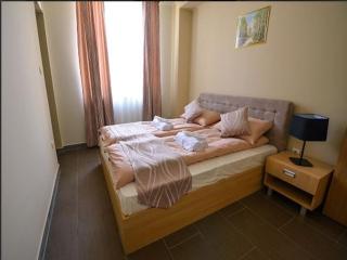 Apartmani/apartments Alexandria - Bački Petrovac - 1