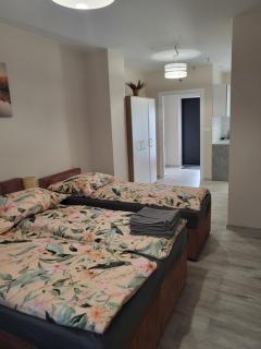Pokój z własną kuchnią i łazienką Żyrardów SUNTAGO - Żyrardów - 4