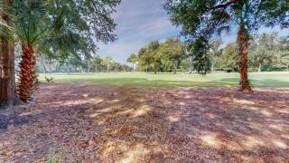 1971 St Andrews Commons - Hilton Head Island - 5