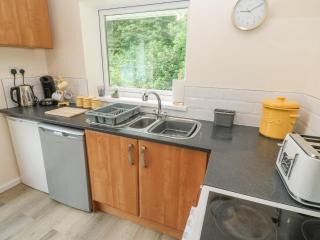 11 Tremore - Liskeard - 2