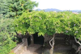 CASA DO ARCO - BARCELOS - 9