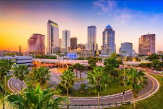 Contemporary 1-Bedroom Private Bungalow Walk to Armature & Riverwalk - Tampa - 9