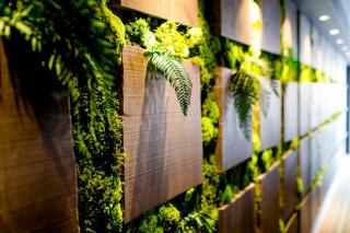 Motel One Edinburgh-Royal - Edimburgo - 2