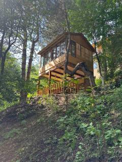 Sochiner Hotel - 7