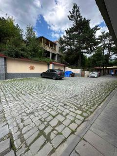 Sochiner Hotel - Vanadzor - 2