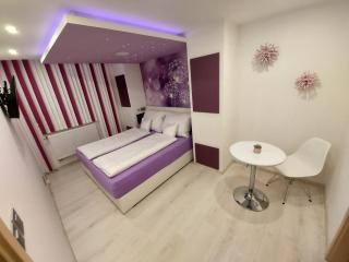 WELLNESS Ubytování Brno-Moravany - - 9