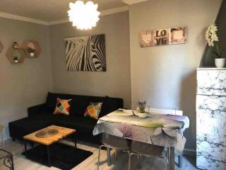 Charmant appartement 2 pieces à 7 mn de paris - Aubervilliers - 1