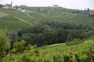 CA' DIJ SARACH - Canelli - 7