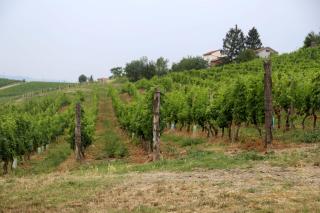 CA' DIJ SARACH - Canelli - 5