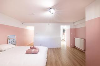 La vie en rose - appartement cosy - centre ville - Auch - 5