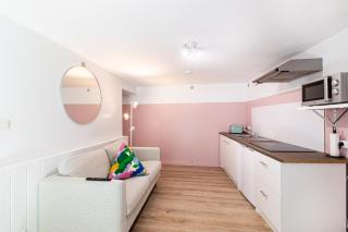 La vie en rose - appartement cosy - centre ville - Auch - 0