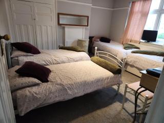 Spacious Room with Garden in Croydon London - 9