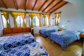 Galapagos Verde Azul - 1