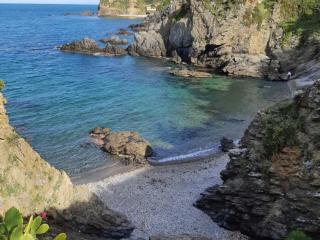 Appartement rénové 2** à 5 min de la plage avec parking et balcon, idéal pour 4 personnes - FR-1-732-10 - Argelès-sur-Mer - 8
