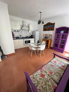 Condesa-Roma Norte Charming Mexican Style Apartment - Città del Messico - 4