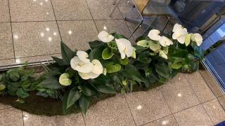 Toyoko Inn Kyoto Gojo-karasuma - Kyōto - 1