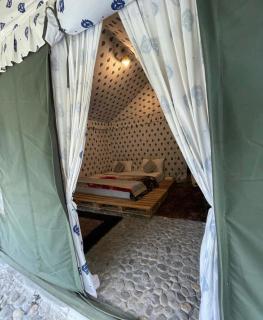 Elixir of Nature - 2