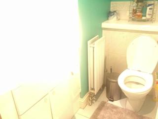 London SW19 2 bed 2 bath private flat - Londra - 7
